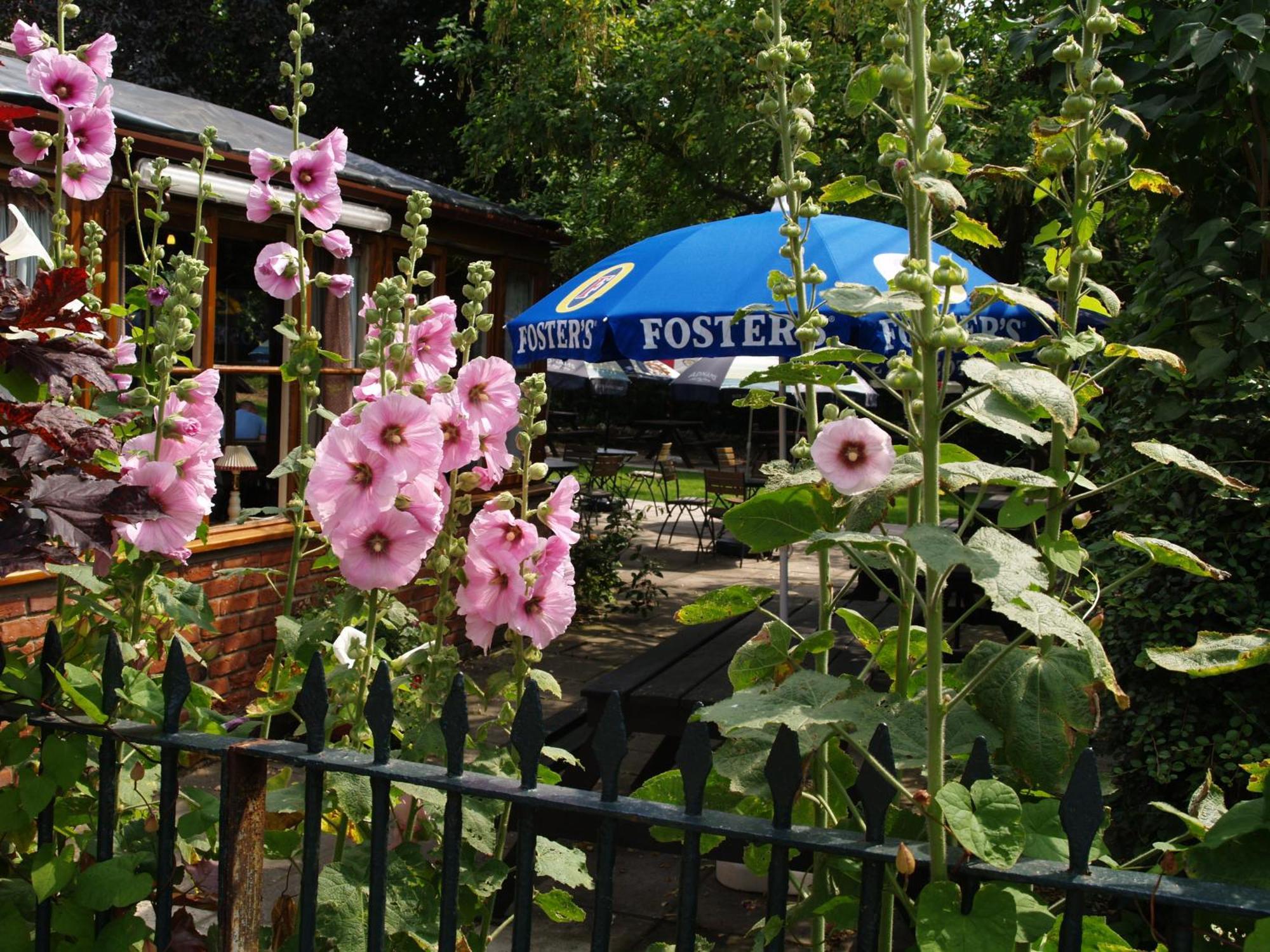 The Olde Windmill Inn Great Cressingham Eksteriør billede